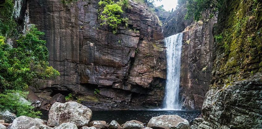 Knuckles Forest Reserve