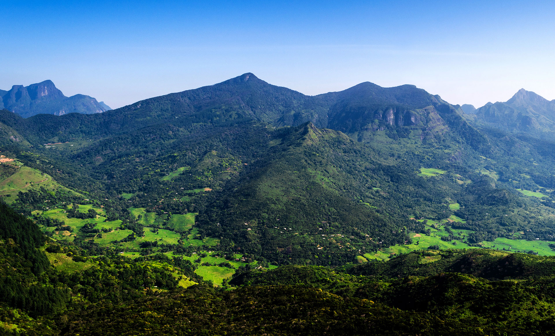 Take Me Sri Lanka, A Travel Company in Sri Lanka