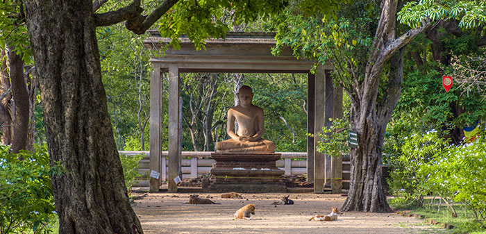 Never Miss Visiting Anuradhapura 6